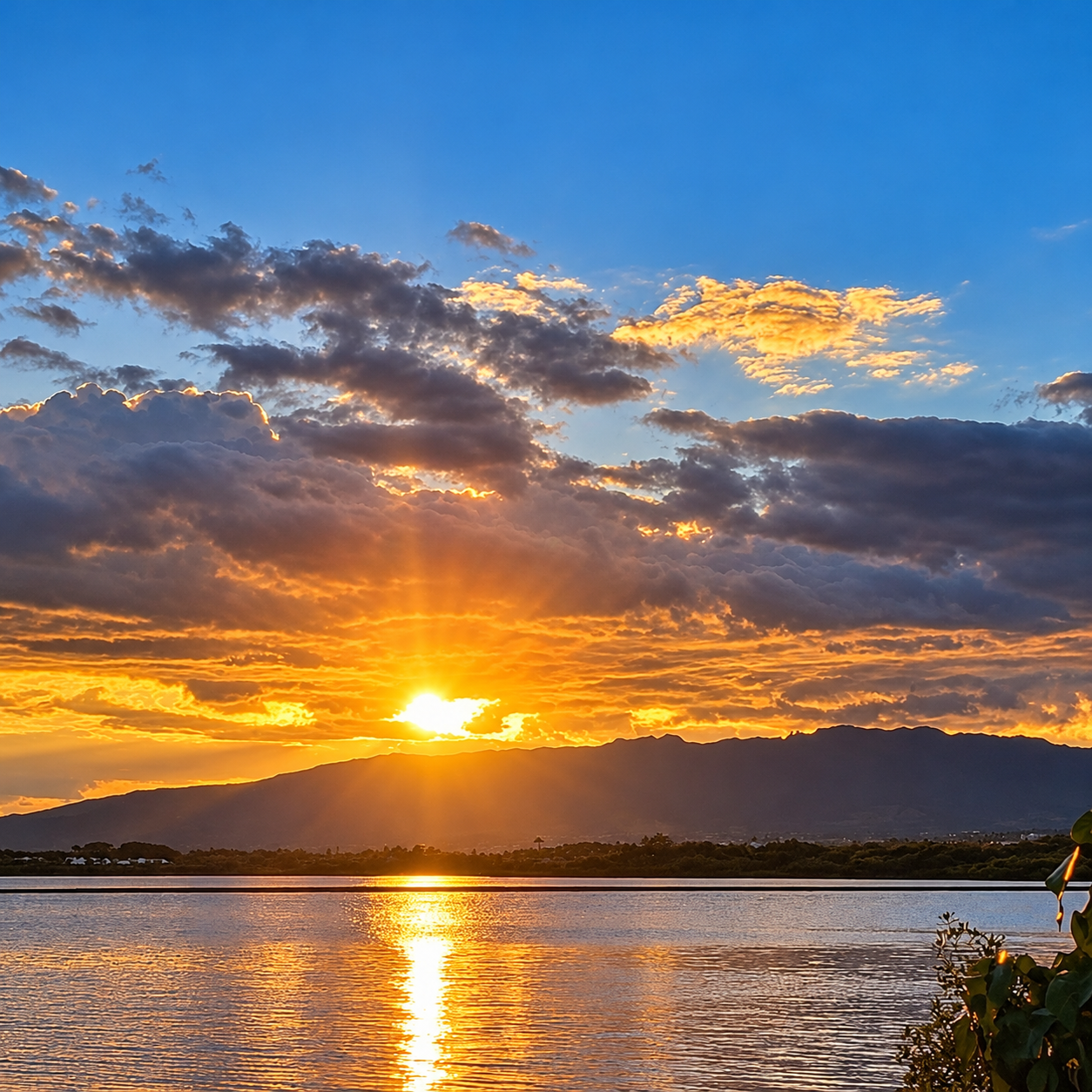 Sunlight reflecting across calm coastal water in Sandi’s original photograph